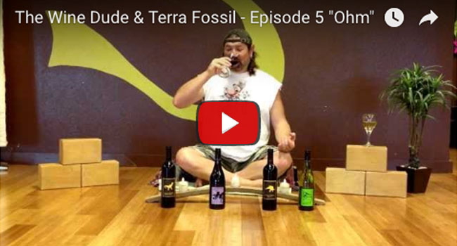 The Wine Dude & Terra Fossil - Ohm